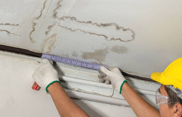 Reliable Water Damage contractor in Roundhead, OH by Water Damage Irwin